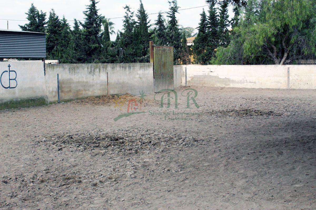 Venta de finca de recreo en Dolores Venta de finca de recreo en Dolores