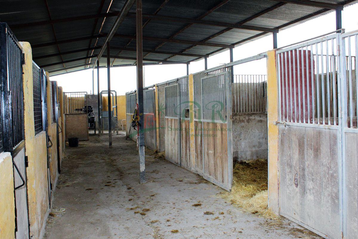 Venta de finca de recreo en Dolores Venta de finca de recreo en Dolores