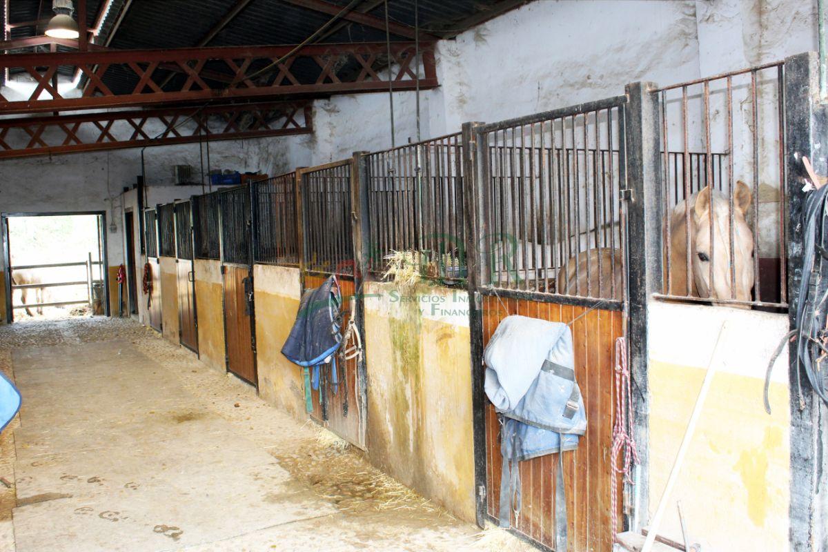 Venta de finca de recreo en Dolores Venta de finca de recreo en Dolores