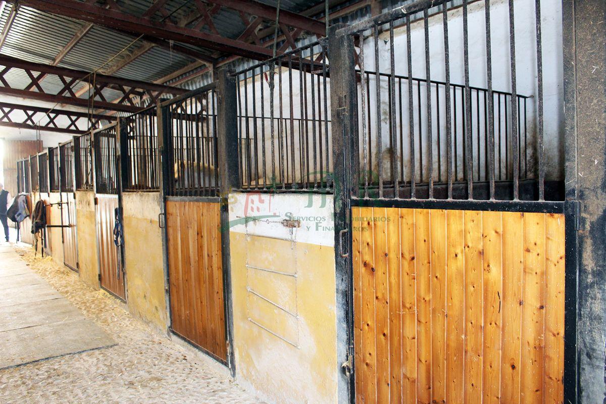 Venta de finca de recreo en Dolores Venta de finca de recreo en Dolores