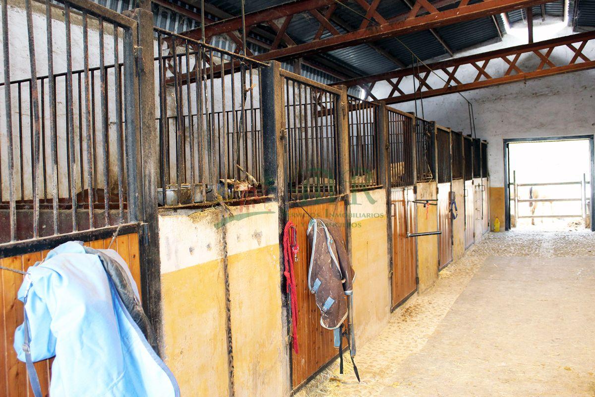 Venta de finca de recreo en Dolores Venta de finca de recreo en Dolores