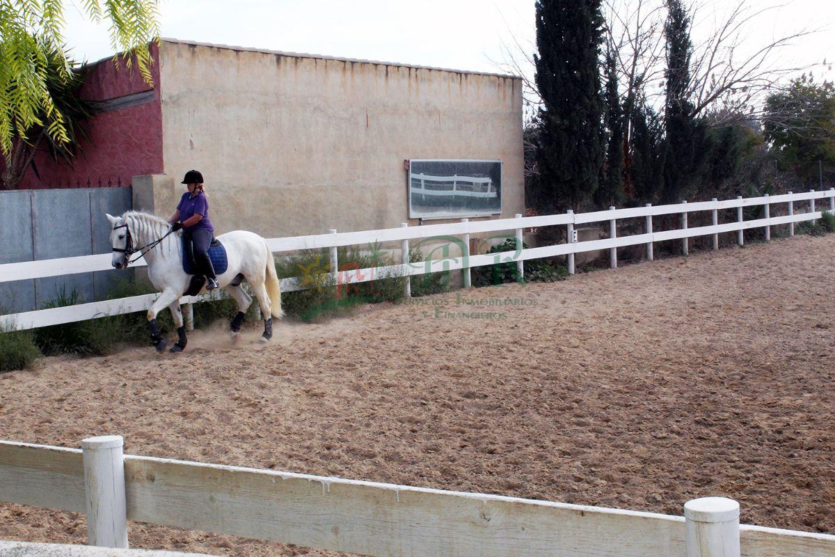 Venta de finca de recreo en Dolores Venta de finca de recreo en Dolores