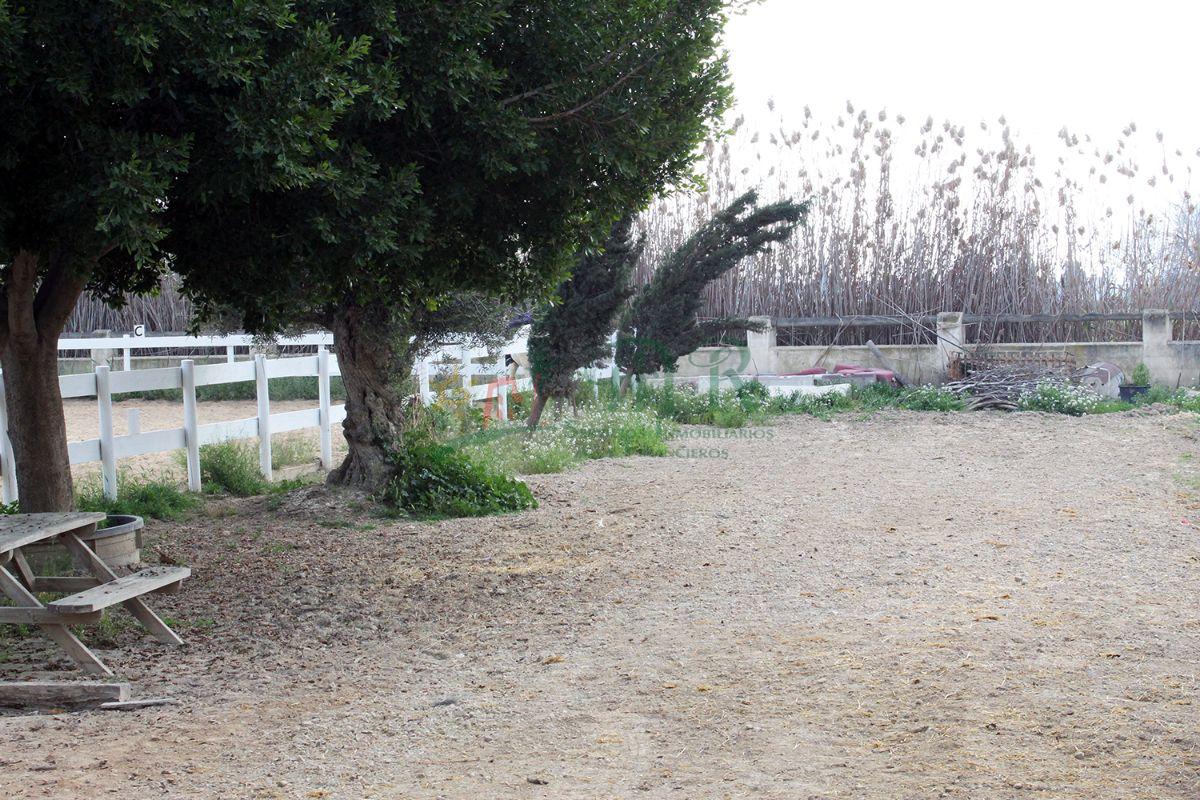 Venta de finca de recreo en Dolores Venta de finca de recreo en Dolores