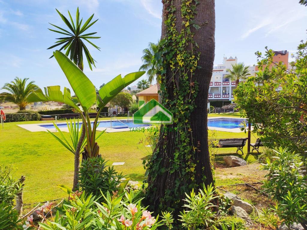 For rent of flat in Sanlúcar de Barrameda