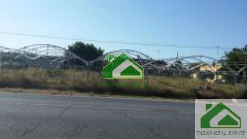 For sale of rural property in Sanlúcar de Barrameda