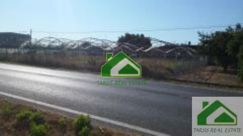 For sale of rural property in Sanlúcar de Barrameda