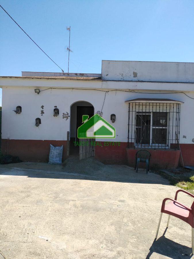 For sale of rural property in Chipiona