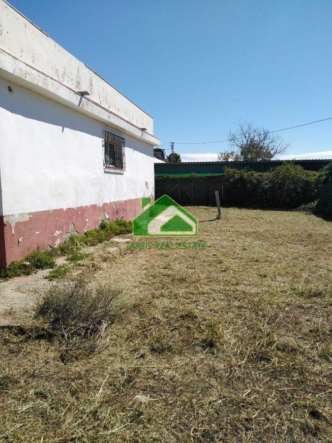 For sale of rural property in Chipiona