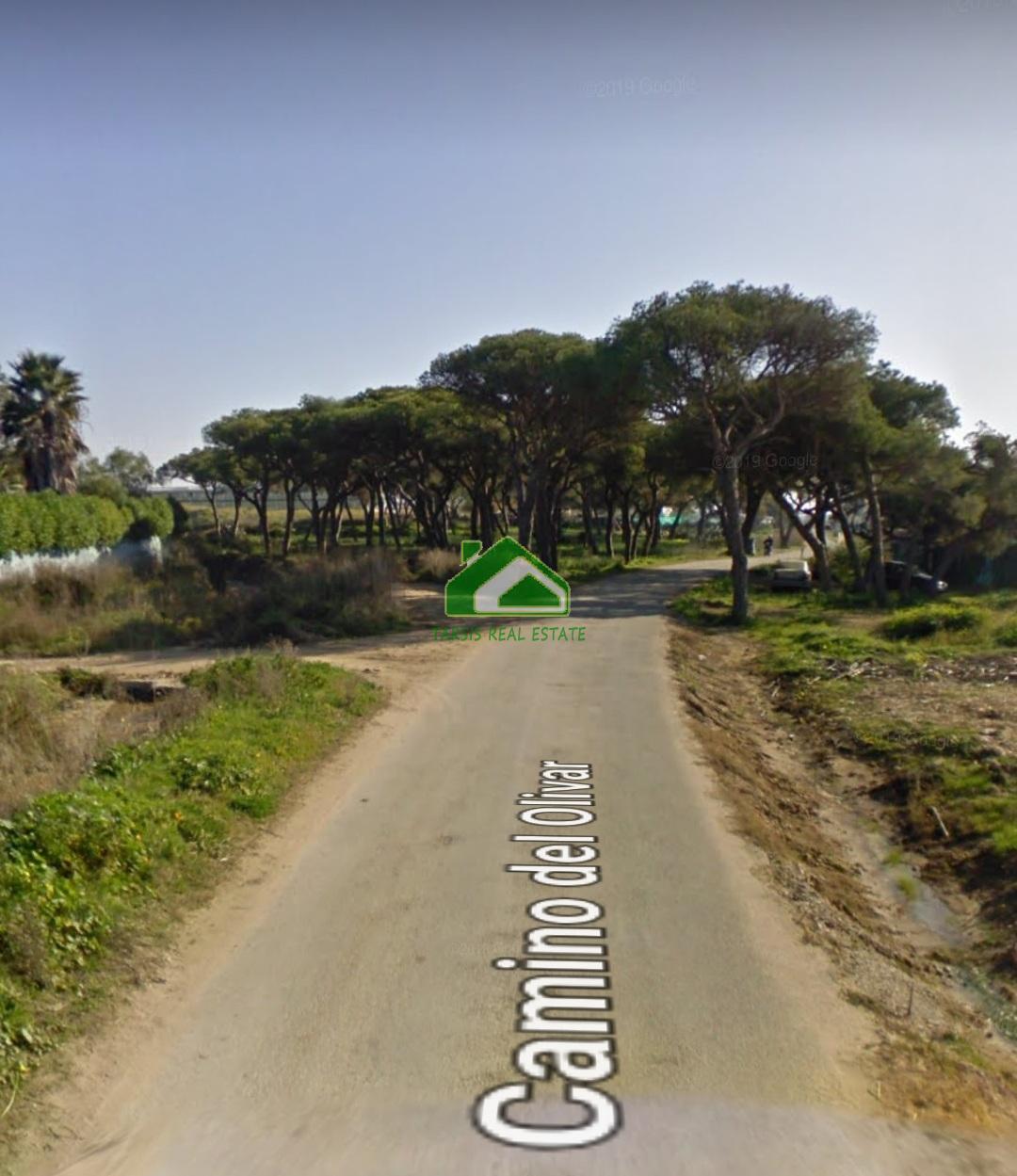 For rent of rural property in Chipiona