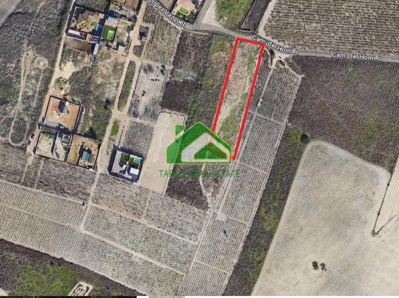 For sale of land in Sanlúcar de Barrameda