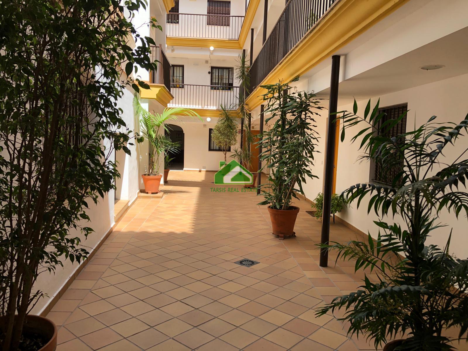 For rent of apartment in Sanlúcar de Barrameda
