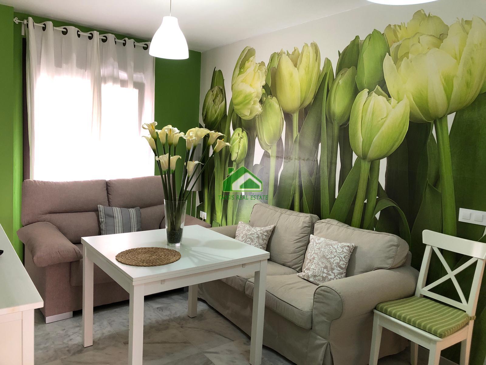 For rent of apartment in Sanlúcar de Barrameda