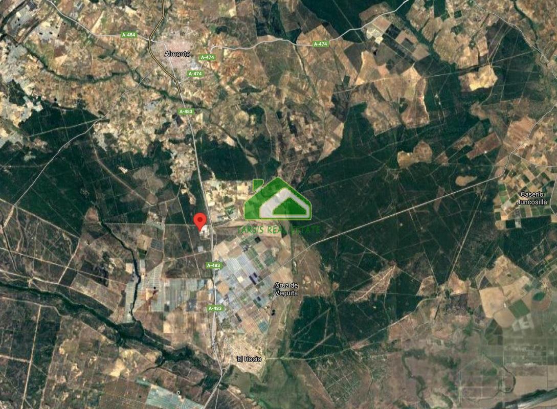 For sale of land in Almonte