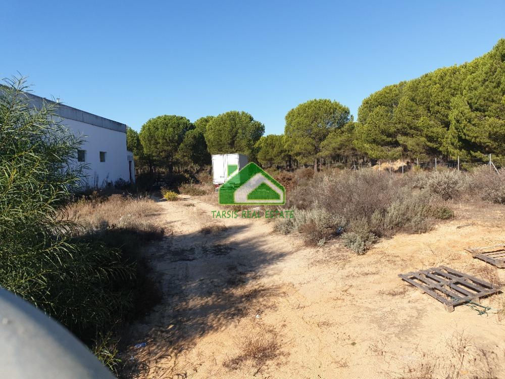 For sale of land in Almonte