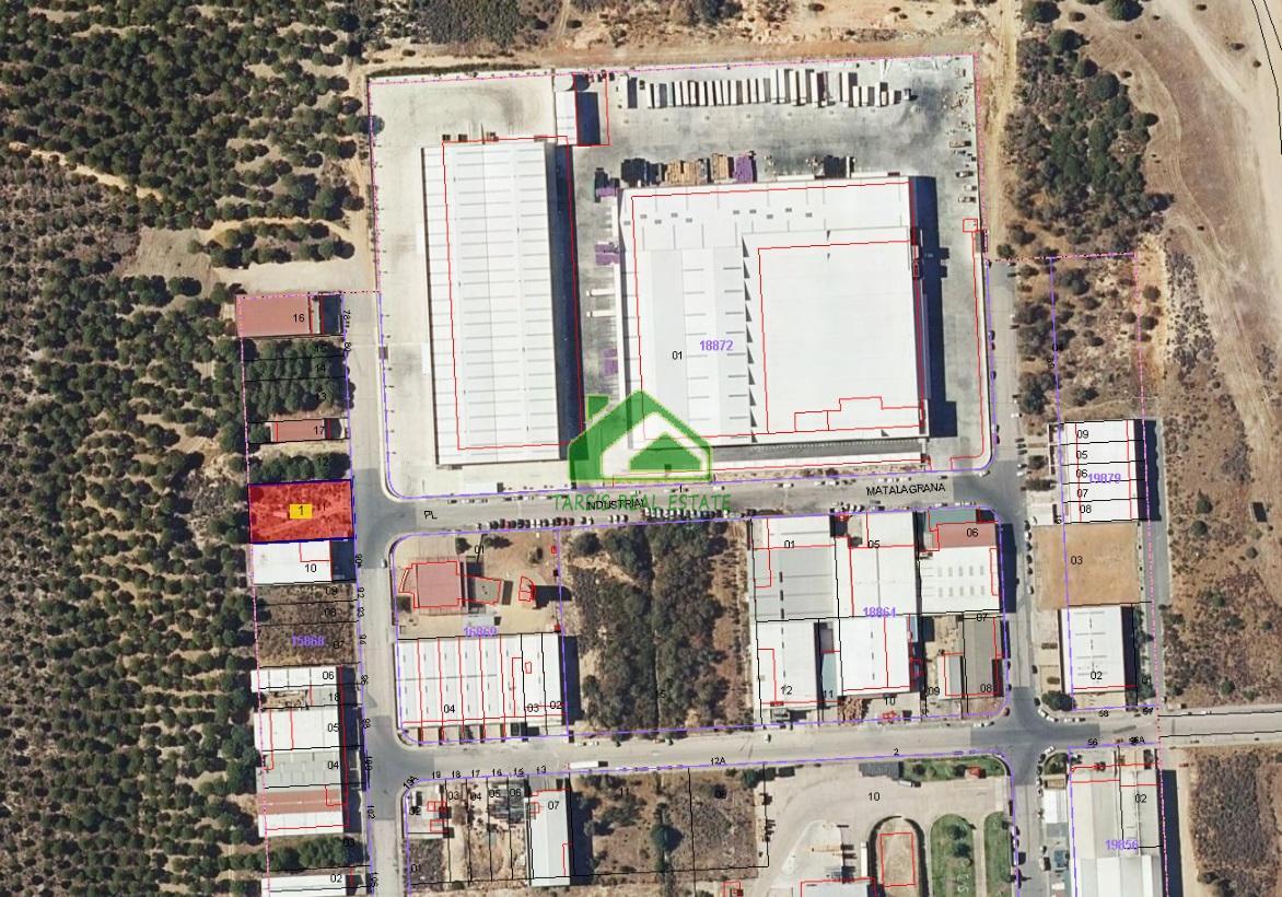 Terreno en venta en poligono industrial Matalgrana, Almonte
