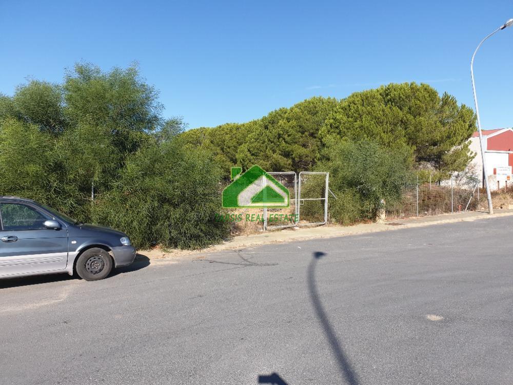 For sale of land in Almonte