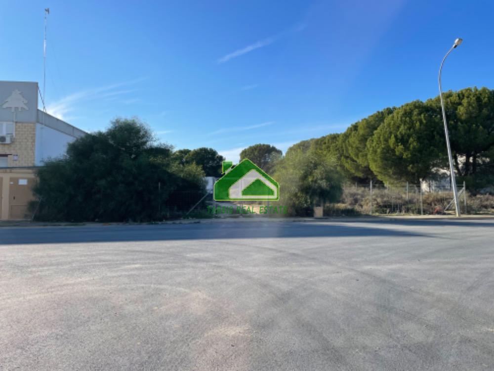For sale of land in Almonte