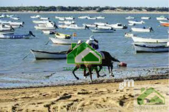Alquiler de Ático en Sanlúcar de Barrameda