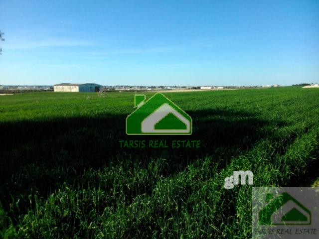 Venta de terreno en Sanlúcar de Barrameda