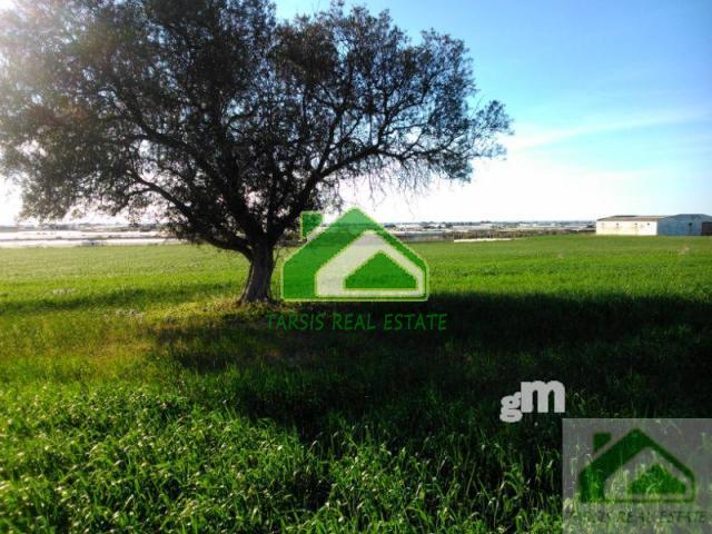 For sale of land in Sanlúcar de Barrameda