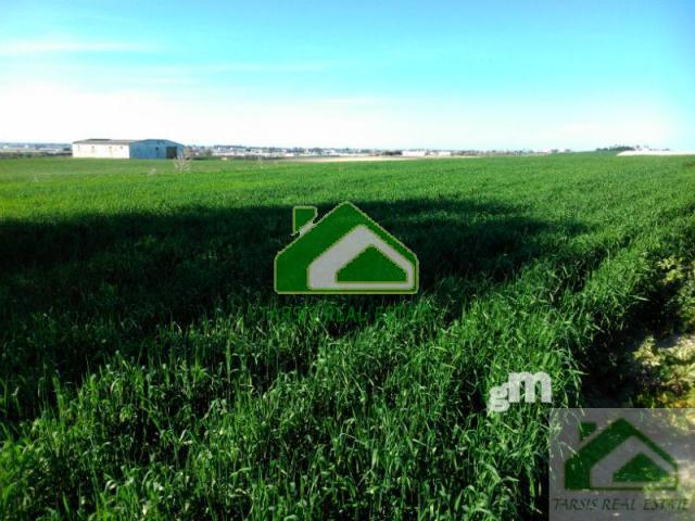 For sale of land in Sanlúcar de Barrameda