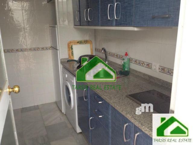 Alquiler de dúplex en Sanlúcar de Barrameda