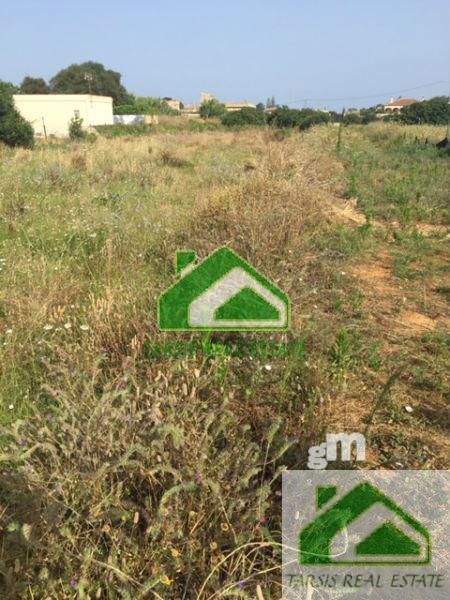 For sale of rural property in Sanlúcar de Barrameda