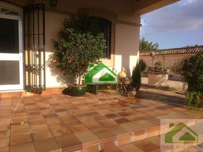 For rent of chalet in Sanlúcar de Barrameda