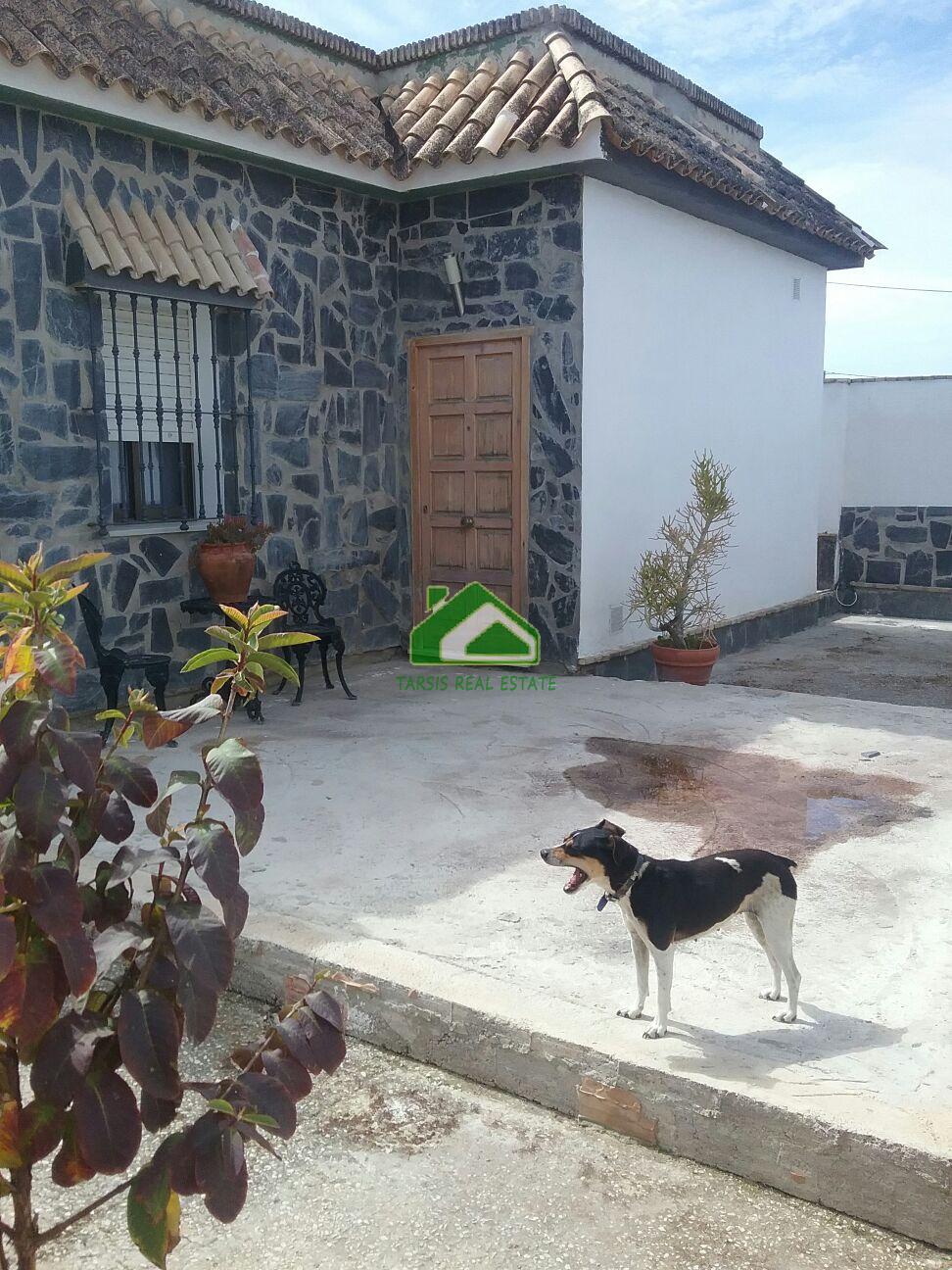 Alquiler de casa en Sanlúcar de Barrameda