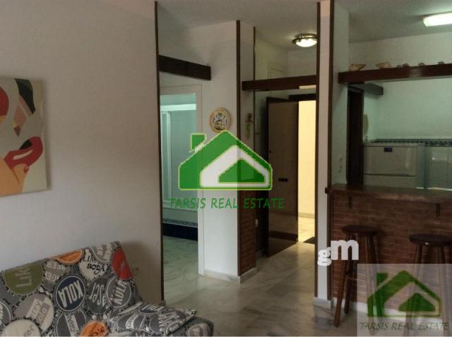 For rent of apartment in Sanlúcar de Barrameda