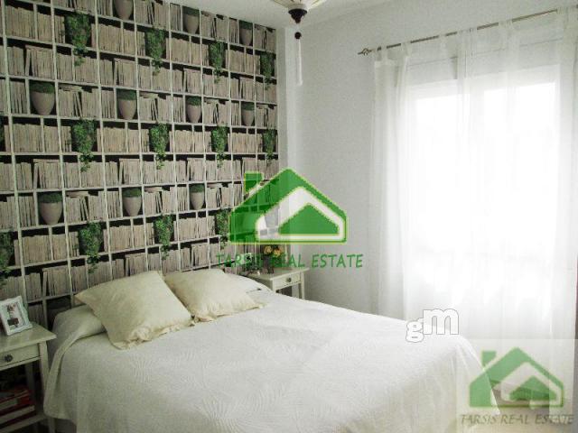 For rent of flat in Sanlúcar de Barrameda