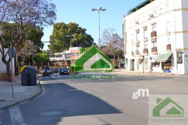 For rent of apartment in Sanlúcar de Barrameda