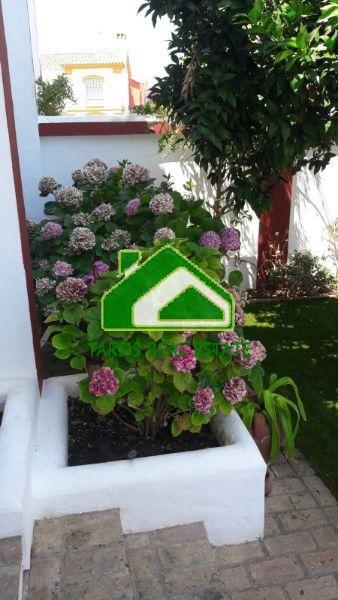 Alquiler de piso en Sanlúcar de Barrameda