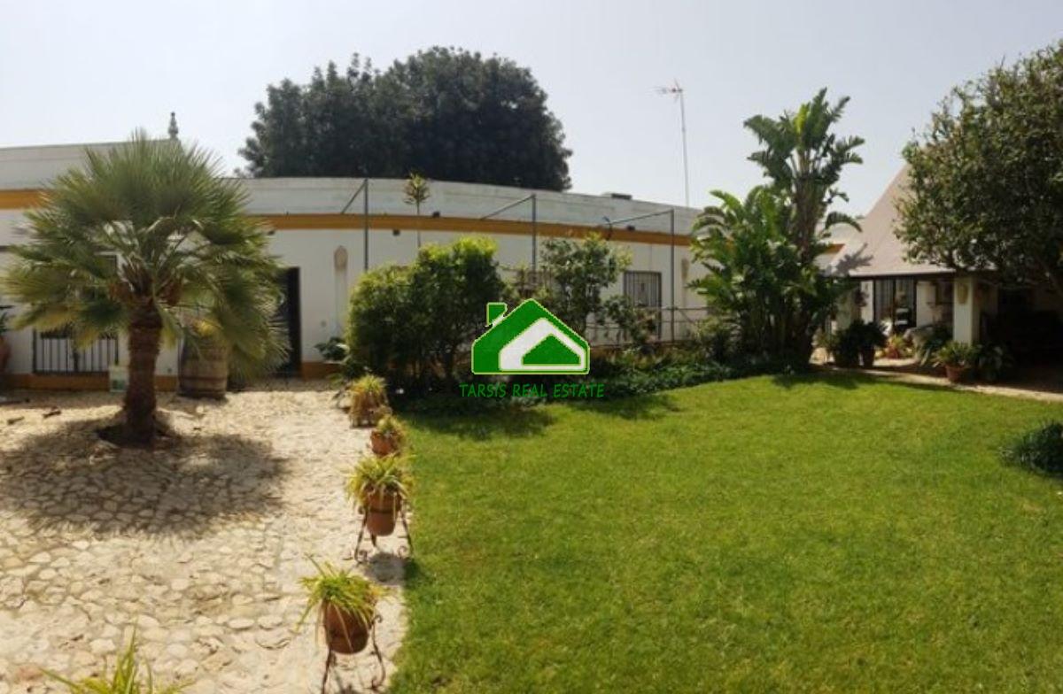 For rent of house in Sanlúcar de Barrameda