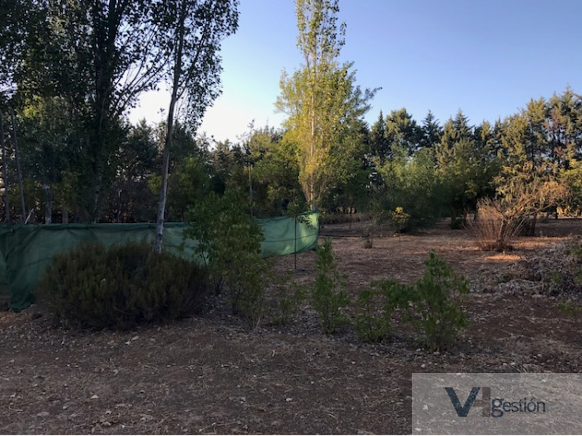 Venta de chalet en Setenil de las Bodegas