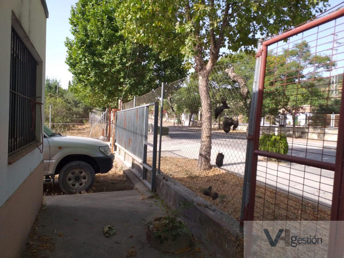 For sale of land in Prado del Rey