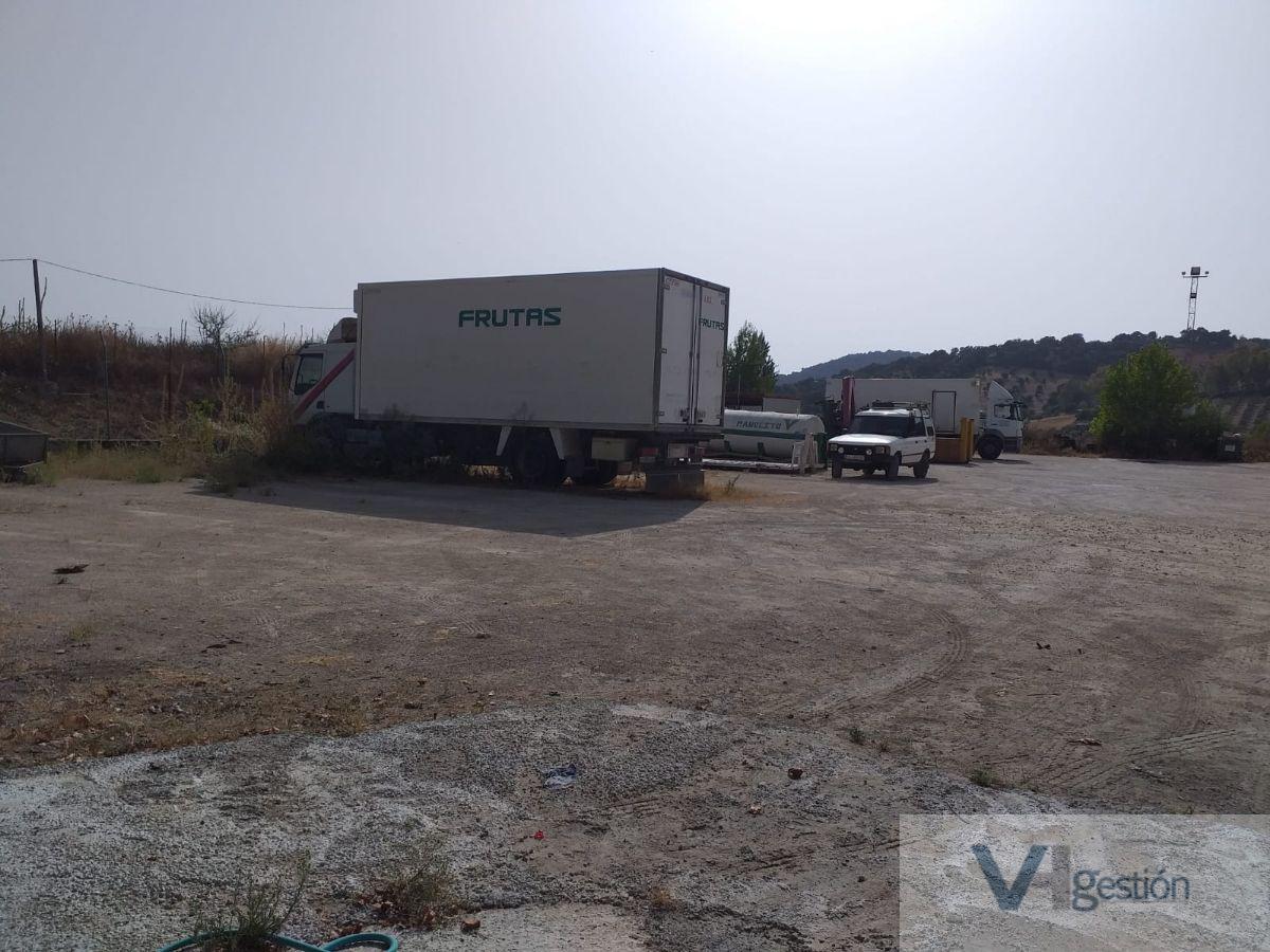 For sale of land in Prado del Rey