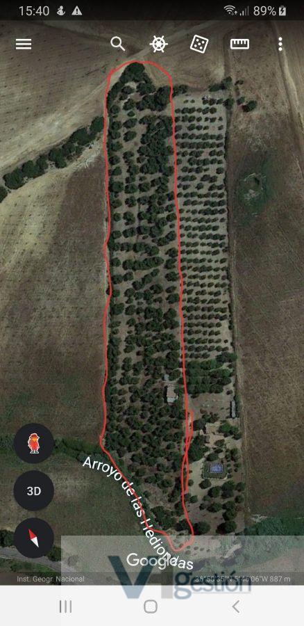 For sale of rural property in Espera