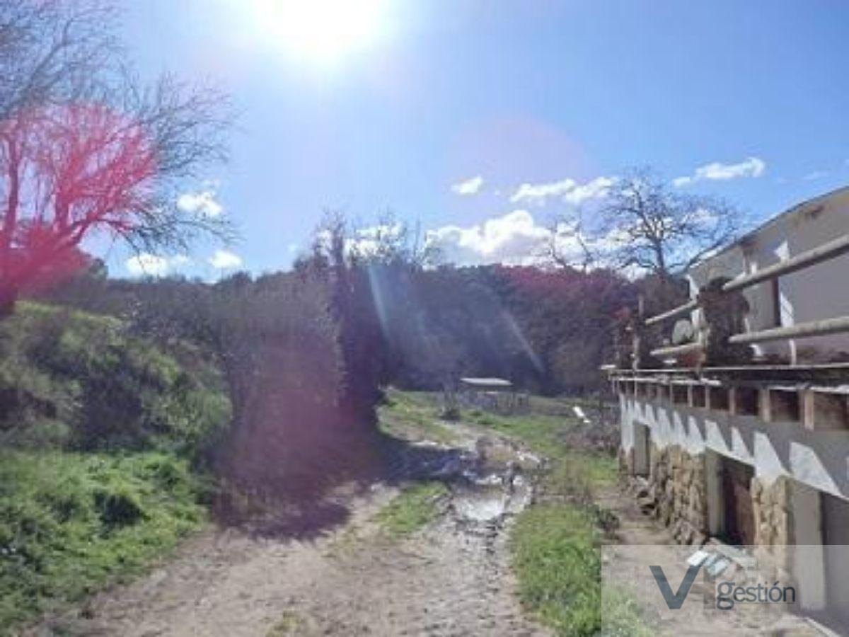 Venta de finca rústica en Setenil de las Bodegas