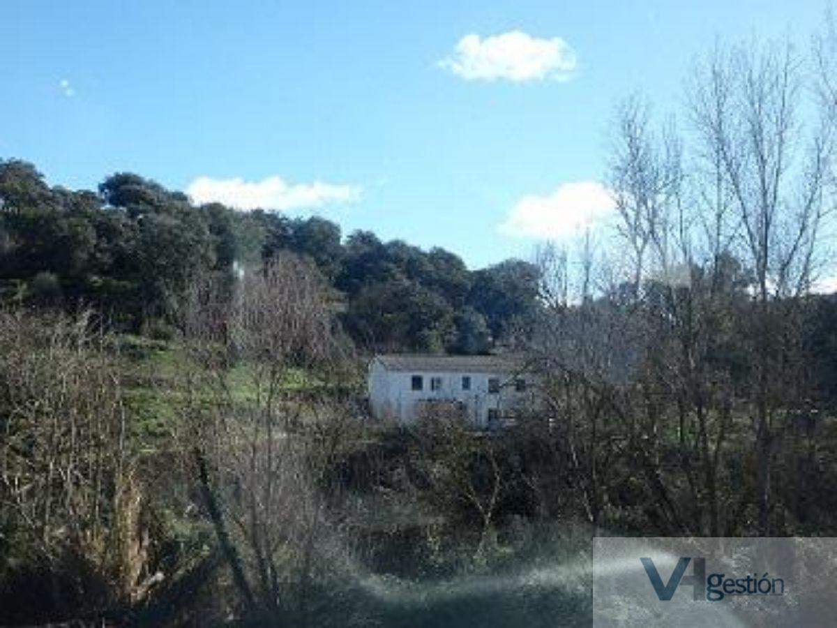 For sale of rural property in Setenil de las Bodegas