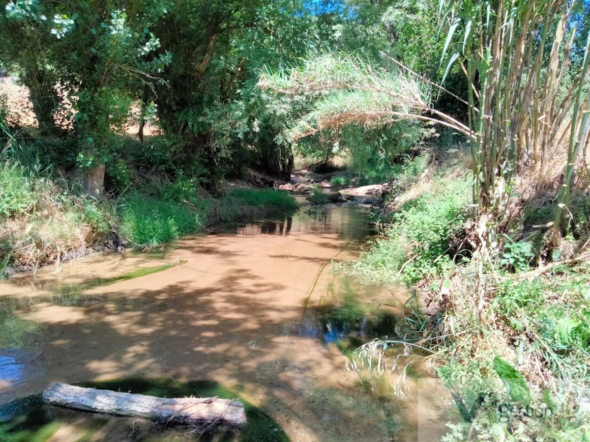 Venta de finca rústica en Setenil de las Bodegas