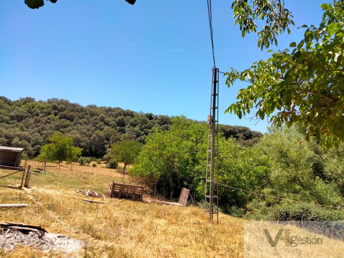 Venta de finca rústica en Setenil de las Bodegas