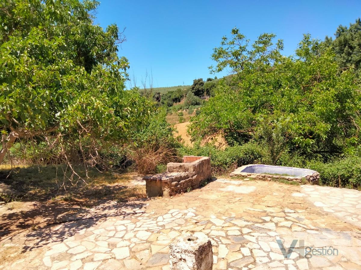 For sale of rural property in Setenil de las Bodegas