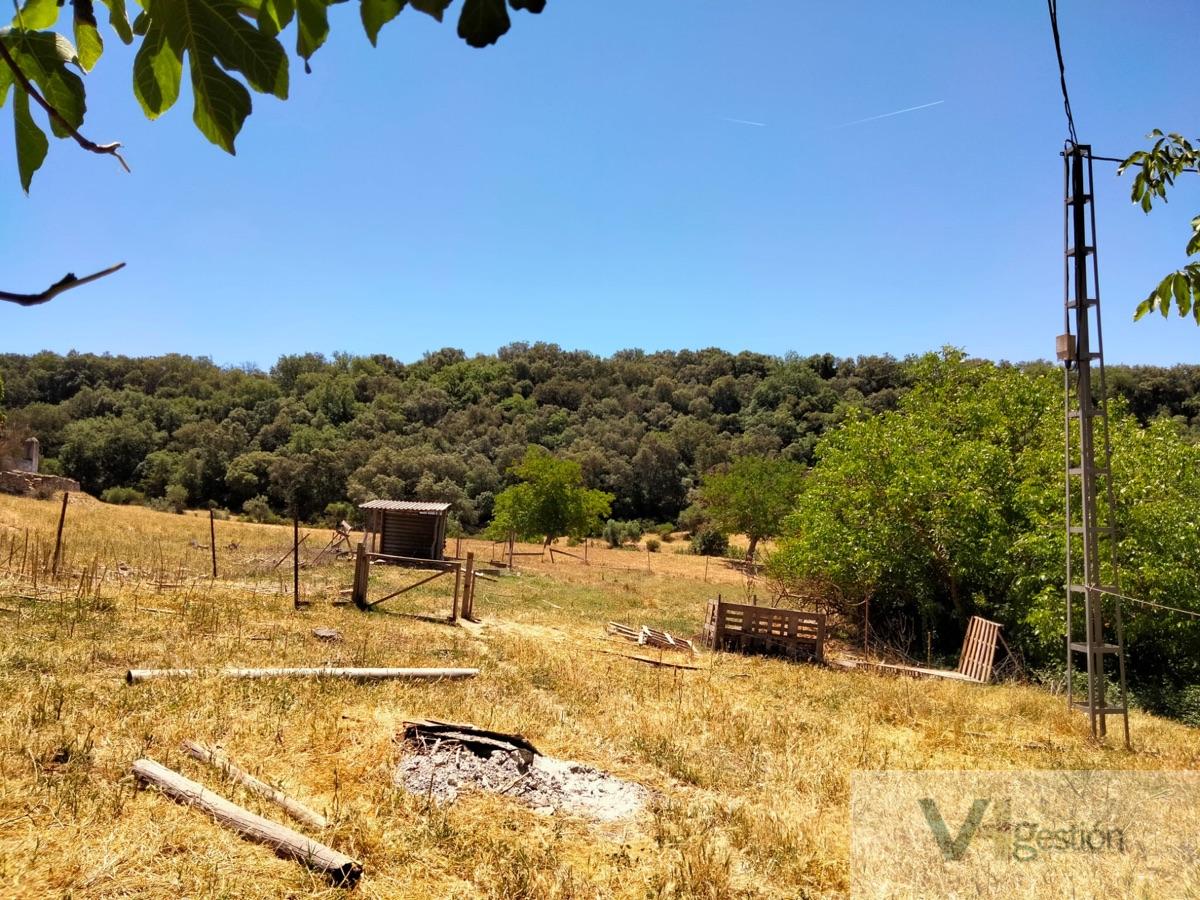 Venta de finca rústica en Setenil de las Bodegas