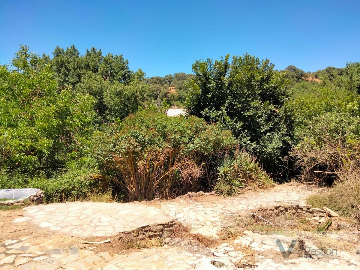 For sale of rural property in Setenil de las Bodegas