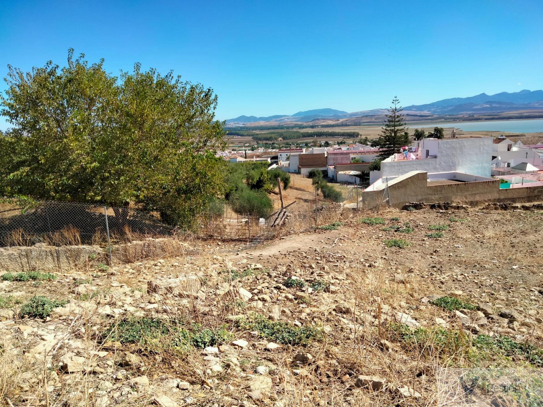 For sale of land in Bornos