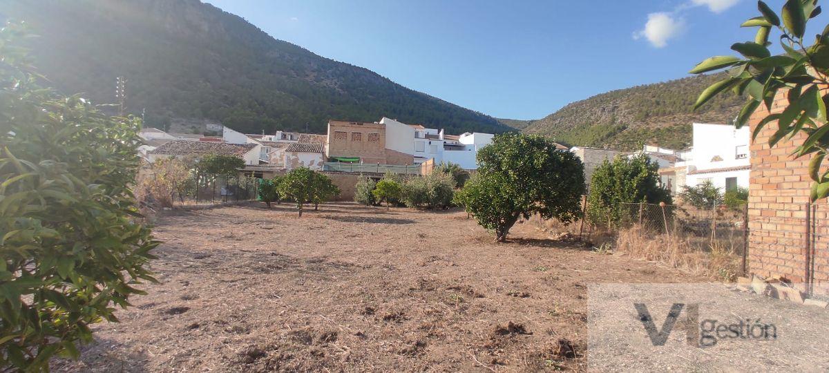 For sale of house in Algodonales