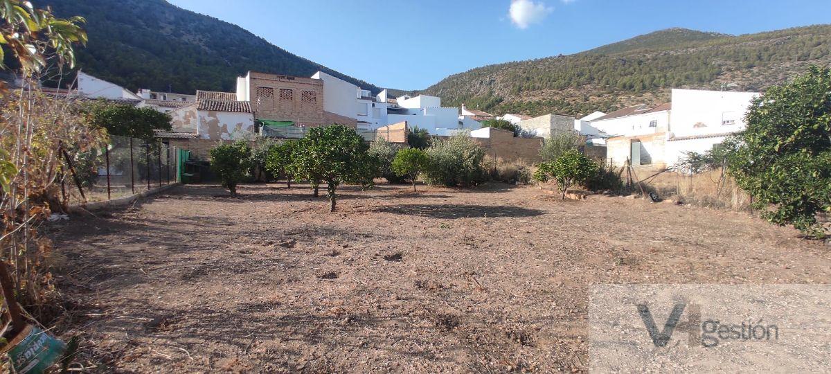 For sale of house in Algodonales