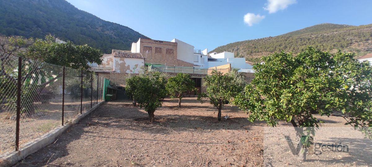 For sale of house in Algodonales