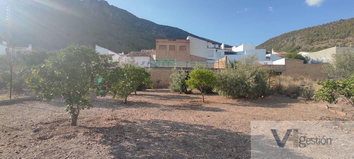 For sale of house in Algodonales